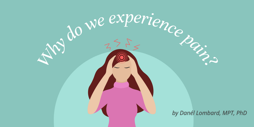 Why do we experience pain?