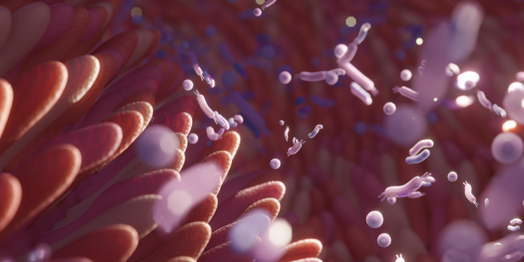 Bifidobacterium Lactis (Bi-07) - A Probiotic Powerhouse