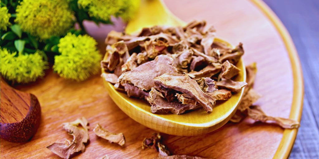 Rhodiola Root - A Natural Adaptogen for Balance and Vitality