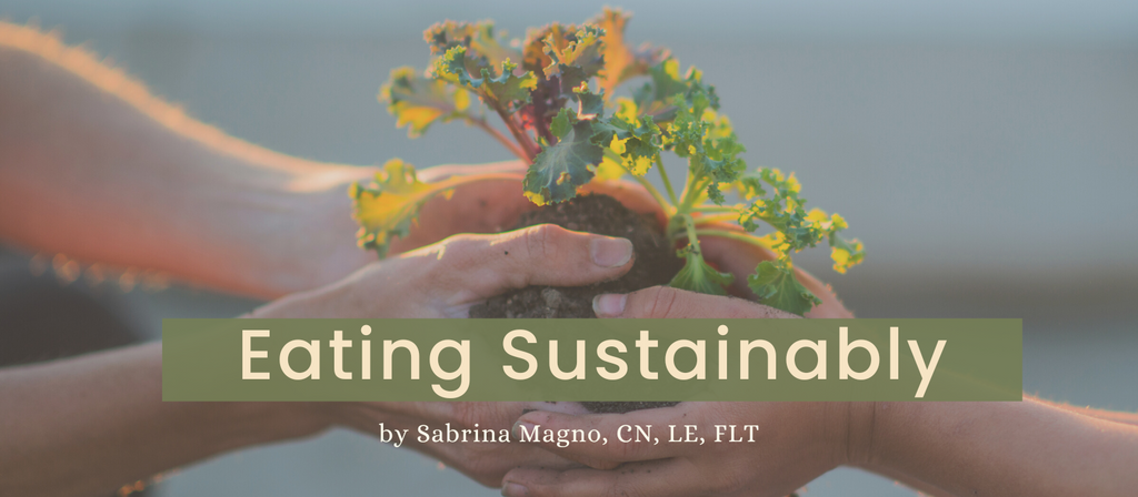 Eating Sustainably - our habits and the health of the planet