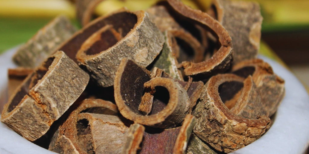 Magnolia Bark Extract - A Natural Remedy for Stress Relief, Sleep Support, and Anti-Inflammatory Benefits