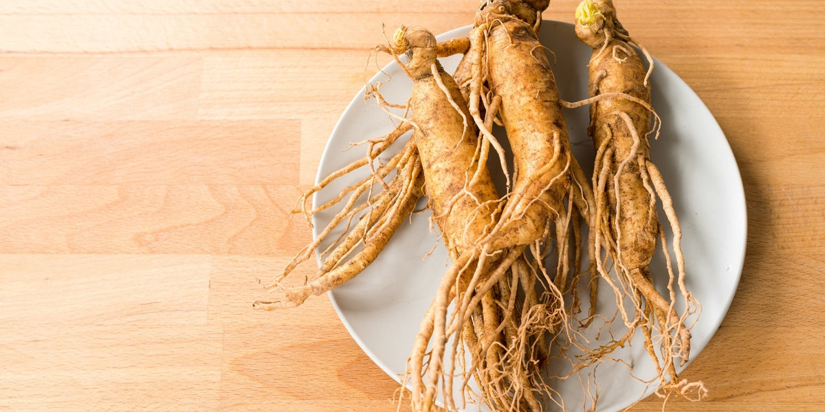 Red Chinese Ginseng Root: A Time-Honored Adaptogen for Vitality and Wellness