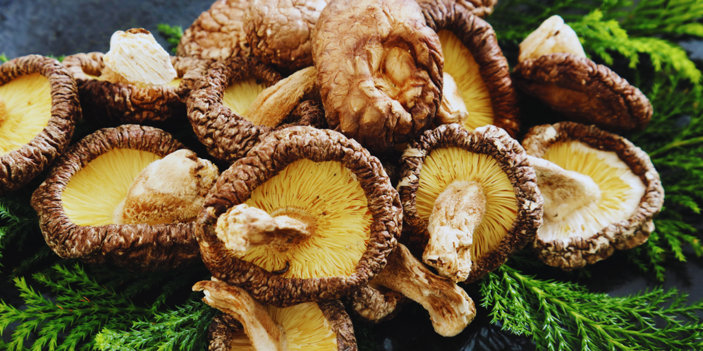 Shiitake Mushrooms: A Nutritional Powerhouse For Over 1000 Years