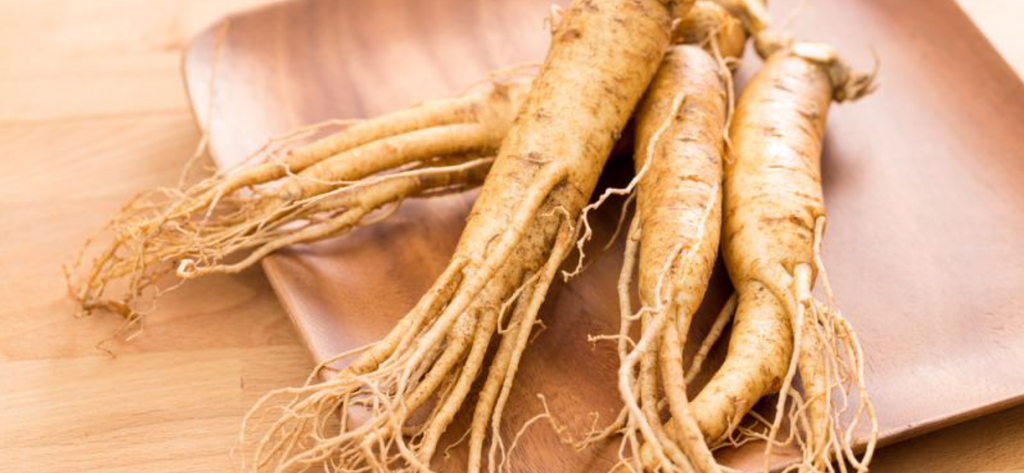 Is ginseng good for immune system?