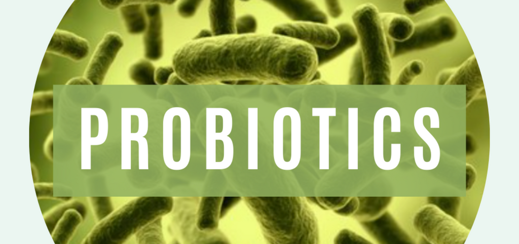 Why Should You Be Taking Probiotics?