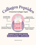 Collagen Peptides Types I, II, III, V, X