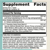 Immune Support - 30 Tablets