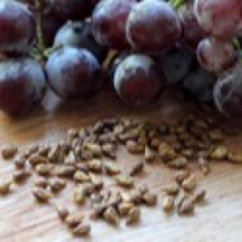 Grape Seed Extract