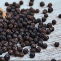 Bioperine (Black Pepper)