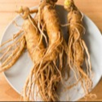 Red Chinese Ginseng Root