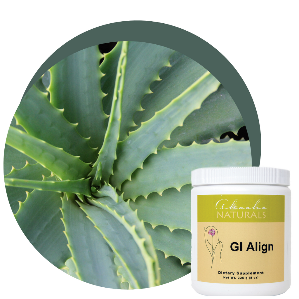 Gi Align Gastrointestinal Support - 8 oz – Akasha Naturals